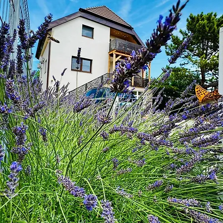 Voeroesko Apartmanhaz Daire *